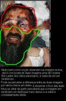 /album/osama-bin-laden1/osama-bin-laden-1-jpg1/